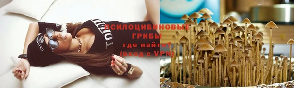 мескалин Вязьма