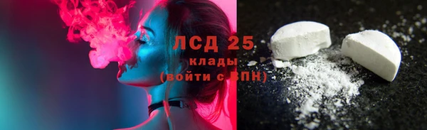 СК Елизово