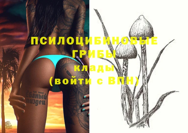 гидра Горно-Алтайск