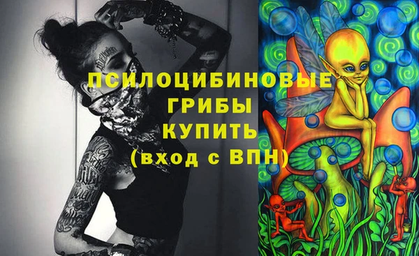 гидра Горно-Алтайск
